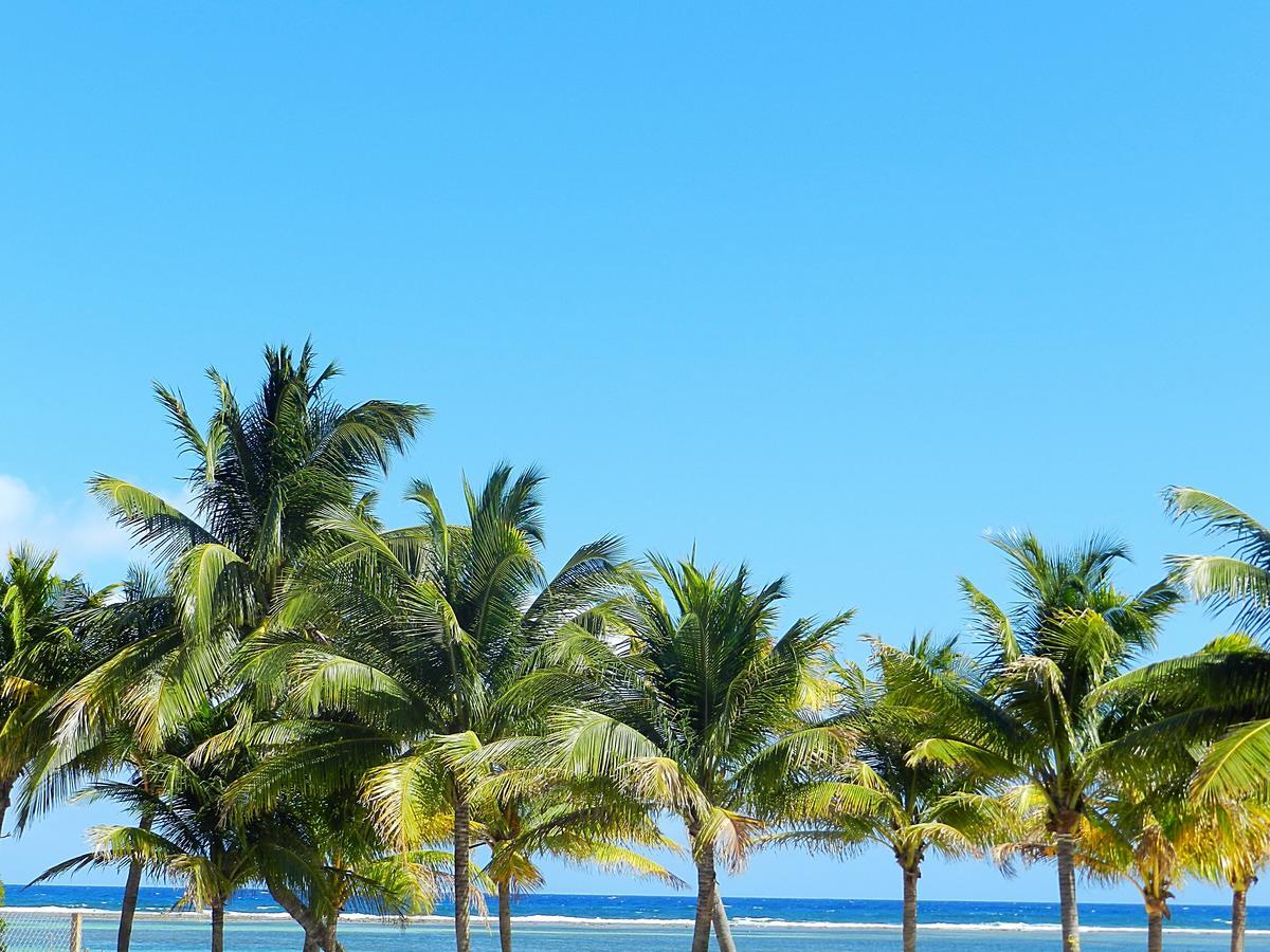 Palmeras de Mahahual Cabañas Bagian luar foto