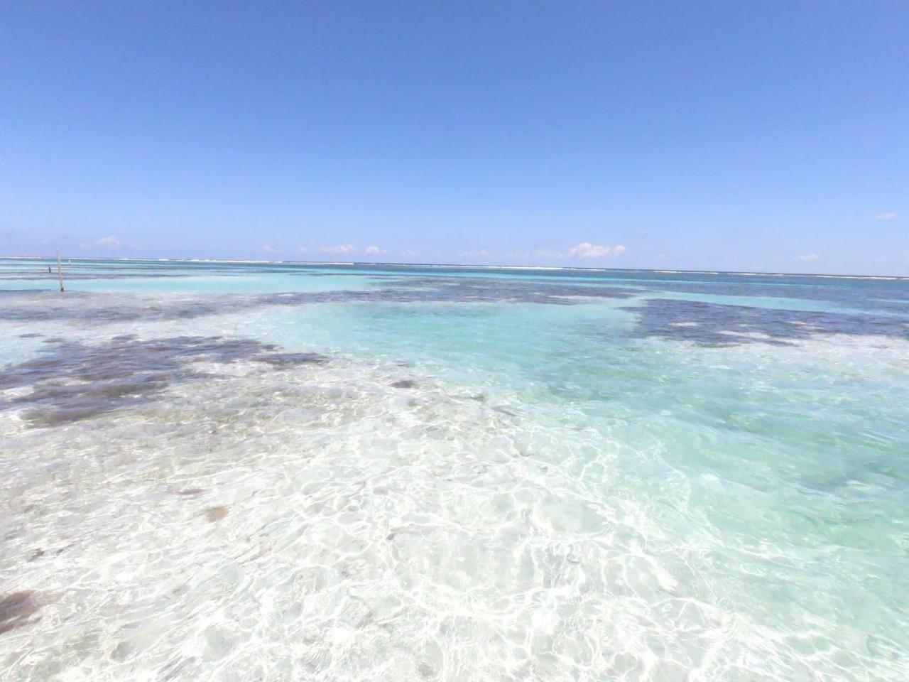 Palmeras de Mahahual Cabañas Bagian luar foto