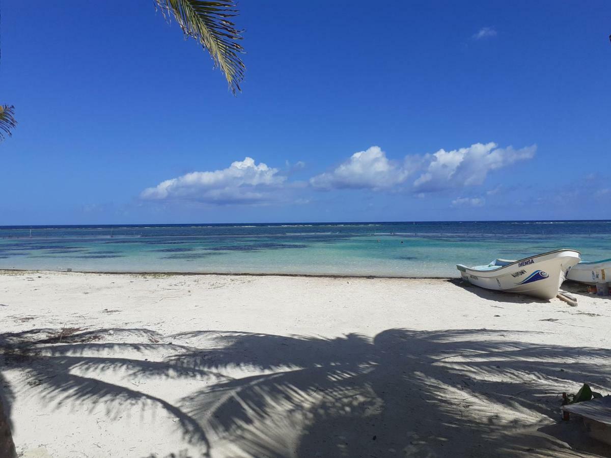 Palmeras de Mahahual Cabañas Bagian luar foto
