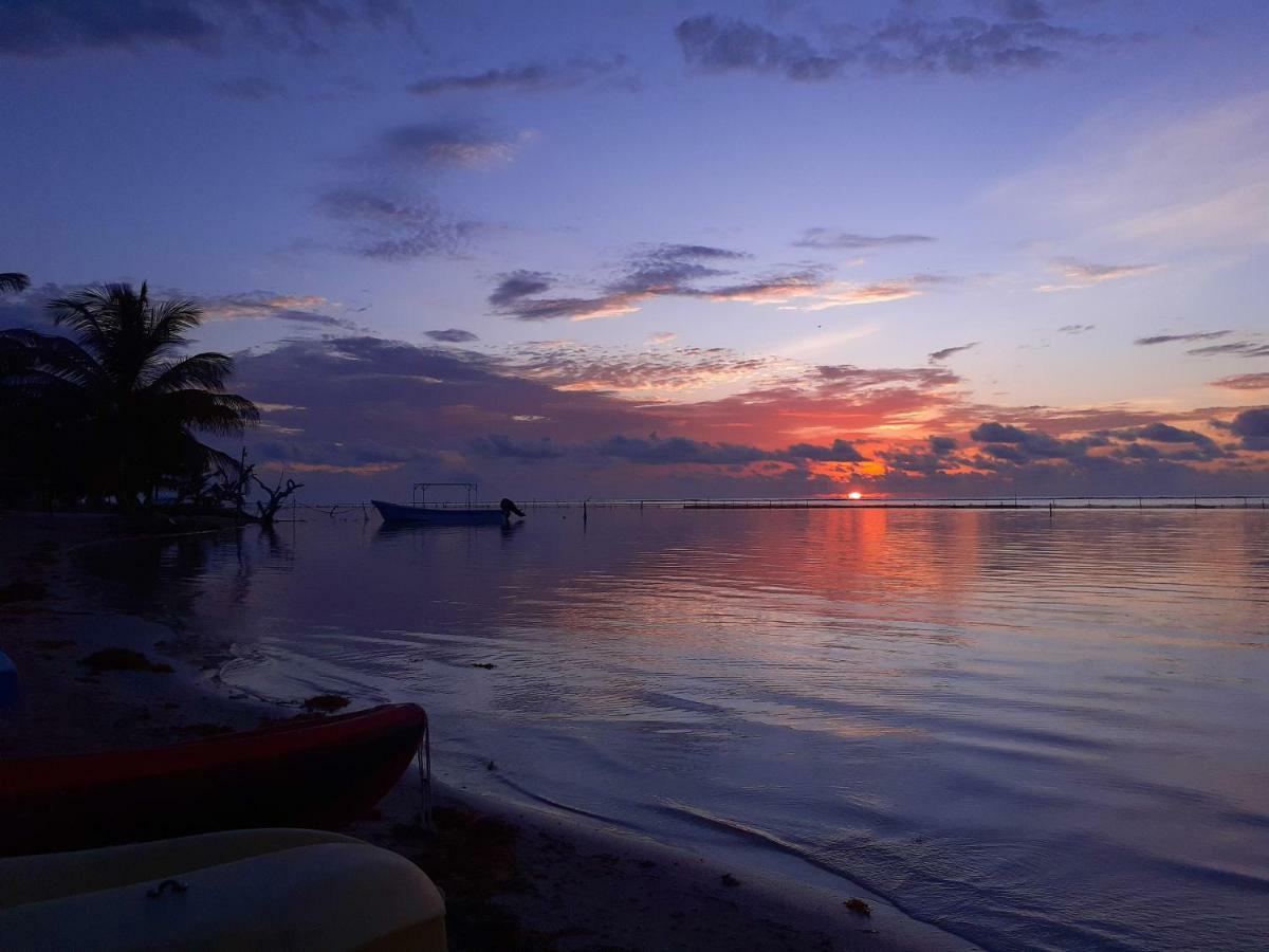 Palmeras de Mahahual Cabañas Bagian luar foto