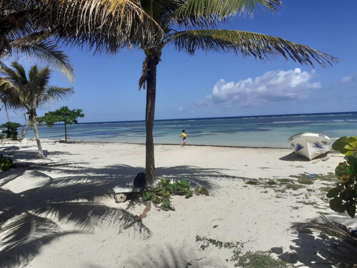 Palmeras de Mahahual Cabañas Bagian luar foto