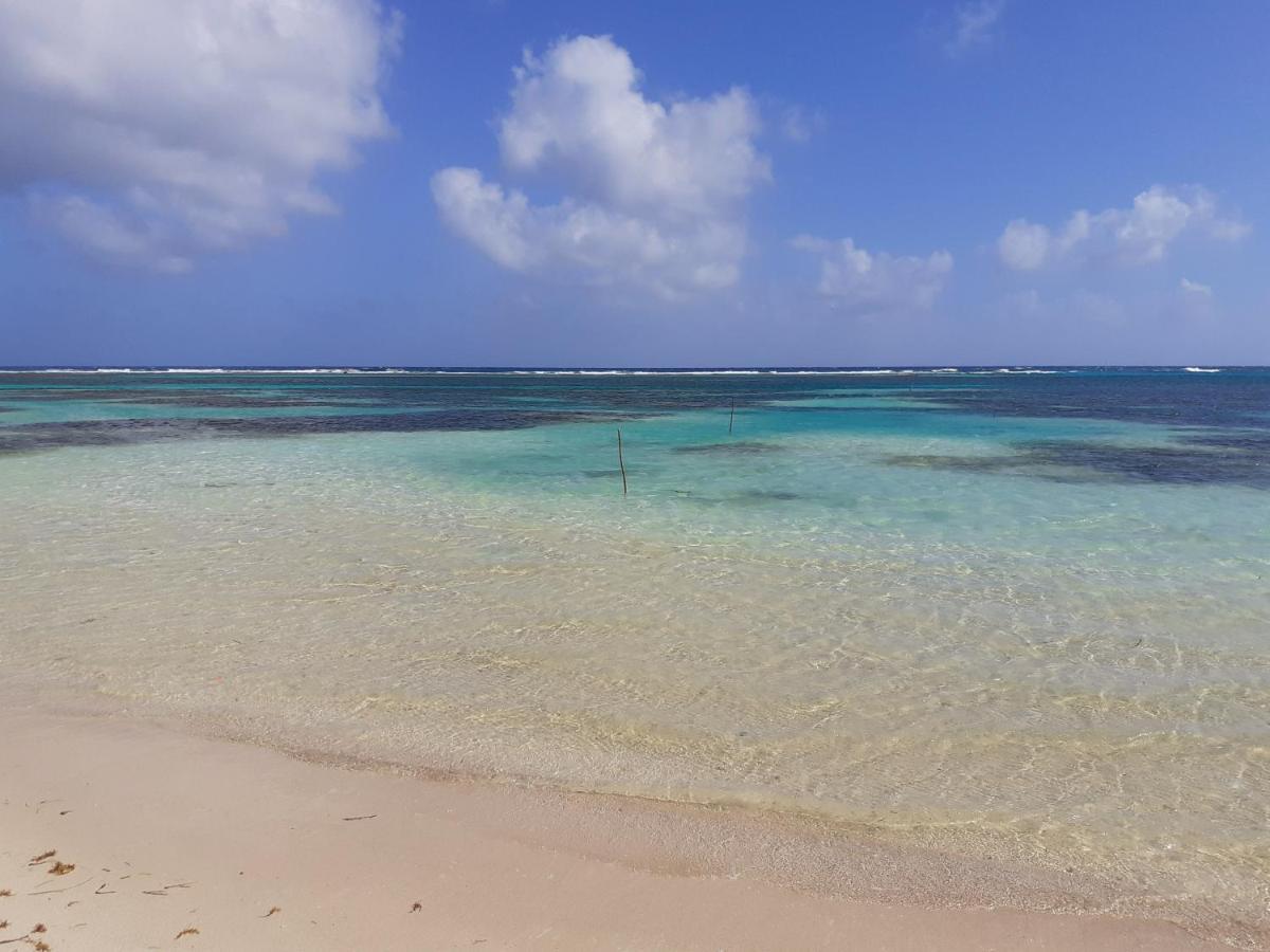Palmeras de Mahahual Cabañas Bagian luar foto
